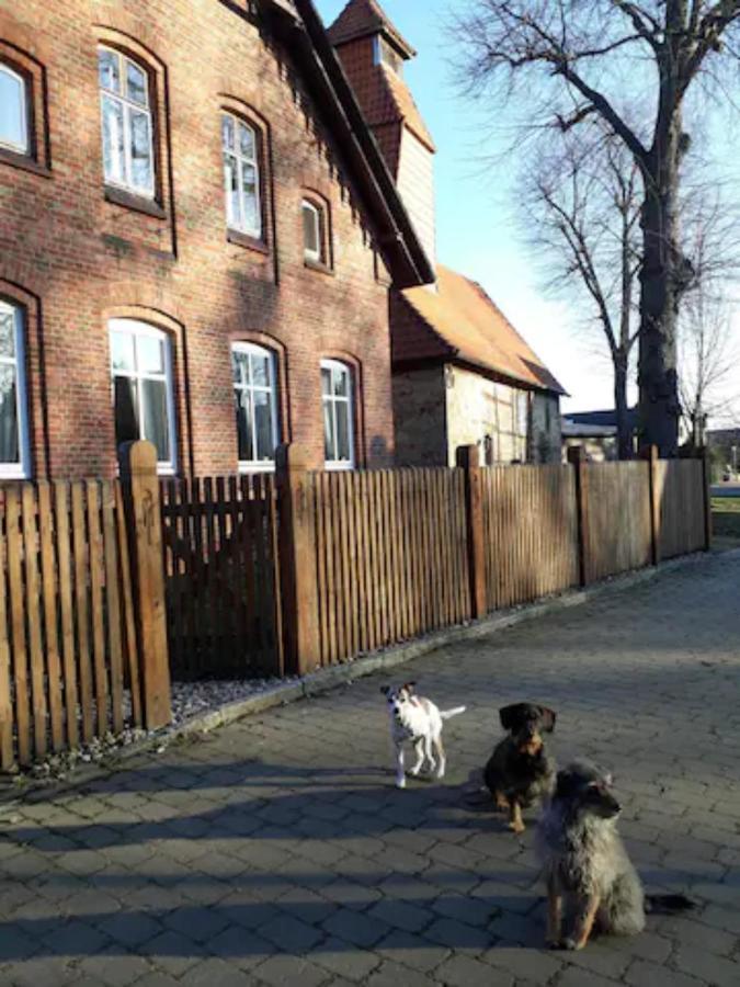 Charmante Dorfschule Hohenhameln Esterno foto